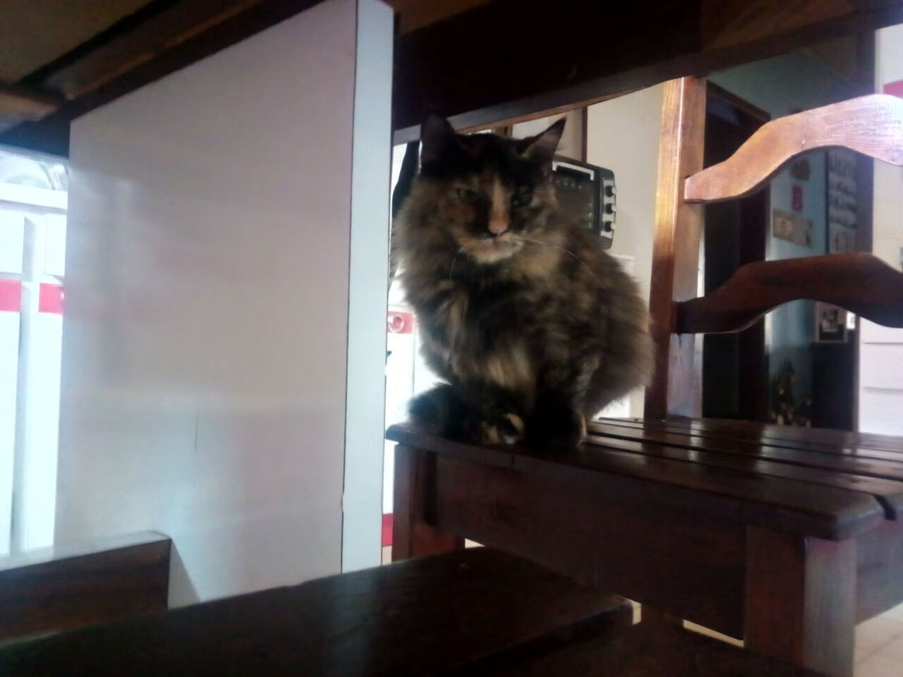 利物浦轰然倒地！豪门崩塌夜谁该背锅？卡塞米罗一锤定音背后的残酷真相